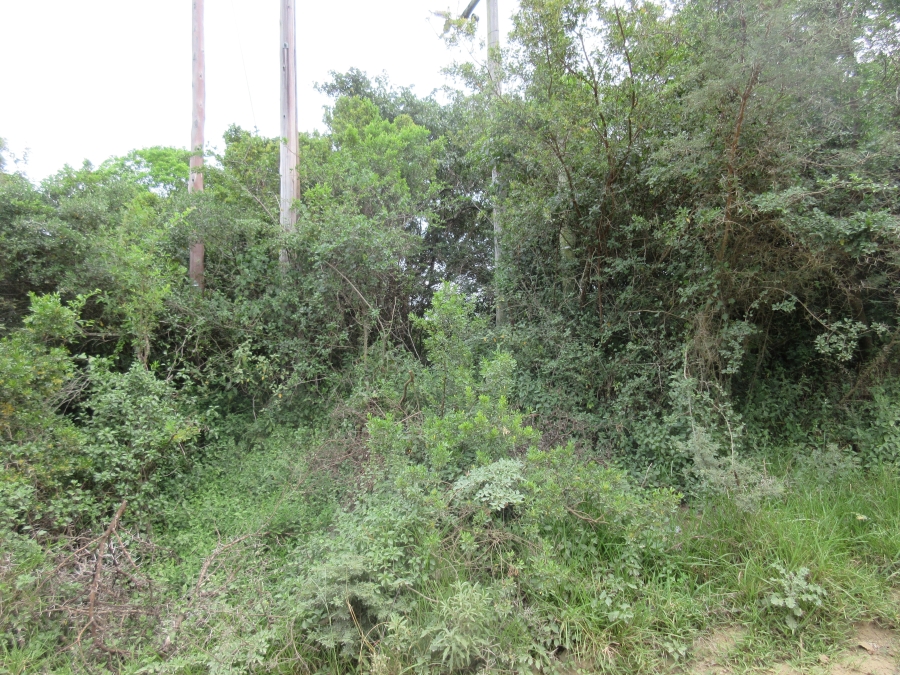 0 Bedroom Property for Sale in Bathurst Eastern Cape